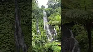 Chasing Waterfalls in Bali 🦋💦 