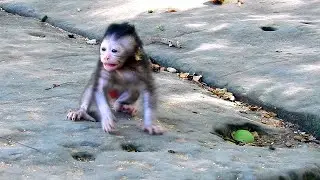 Adorable baby much scare.