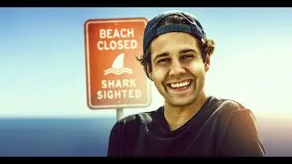 Shark Week With David Dobrik/ Неделя Акул С Дэвидом Добриком русские субтитры