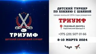 8.03.2024. ТРИУМФ. 2014. М8. icecity - ШРС-15