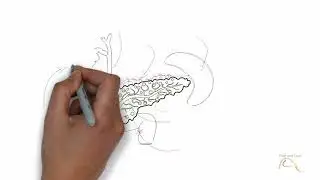 Pancreatitis -  part 1of 2