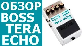 Обзор педали для электрогитары Boss Tera Echo Дилей | SKIFMUSIC.RU