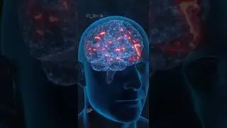 ЗАЧЕМ В ВОЙНУ У МЕРТВЫХ СОЛДАТ ВЫРЫВАЛИ ЗУБЫ? [жуткие факты] РЕАЛЬНАЯ ИСТОРИЯ 