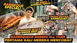 BBQ BARENG HARIMAU ! PREMIUM BLACK ANGUS MENGISI PENUH PERUT 4 HARIMAU ! TEONA SAMPE ENEG ?!