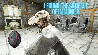 Secrets to Finding The Artifact of Immune in The Center