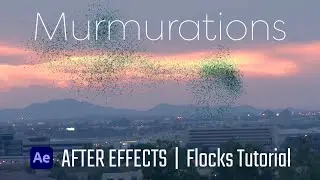 Bird Murmurations - After Effects - 
