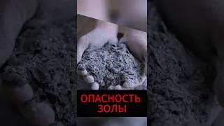Зола может принести немало проблем, если использовать ее неправильно!  