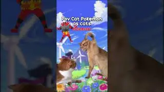 POV Pokemon cats as cat Memes  😻 