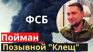На россии нашли виновника масштабных пожаров
