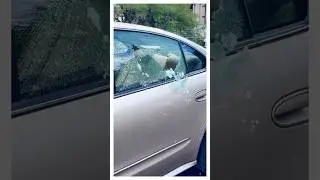 Как разбить стекло автомобиля?