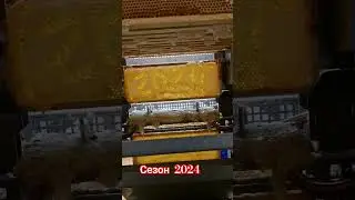 Потихоньку не спеша. Mai 2024