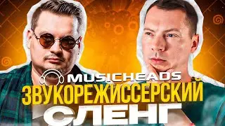Язык звукорежиссёров: cленг и термины! Гость канала: Павел Шевчук (ПЕРЕЗАЛИВ)