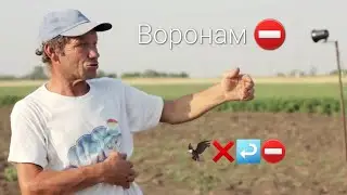 Отпугиватель птиц  в садах, полях, фермах. Воронам ⛔️ въезжать запрещено