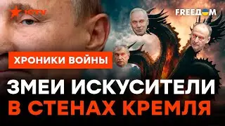 Окружение Путина ЕДИНО в ОДНОМ, и ЭТО… Эксперт УДИВИЛ ПРОГНОЗОМ @skalpel_ictv