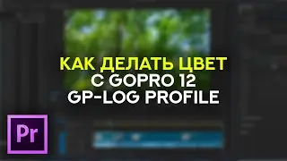 Как делать цвет с GoPro 12 GP-LOG Profile