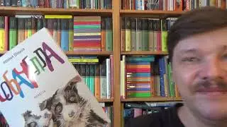Наталья Шицкая. Собачелла
