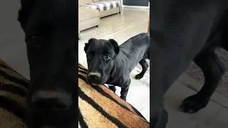 Маааам, давай такой звук сделаем🥰 