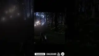 Red Dead Redemption 2 Охотник за головами