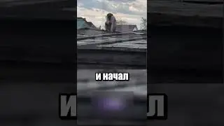 Мартышка напала на людей