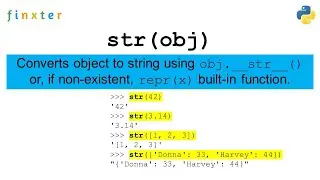 Python str() Function