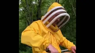 Пчеловодство: качаем цветочный мед на пасеке