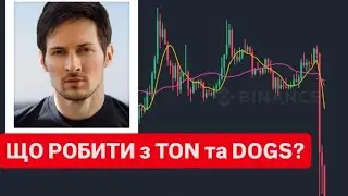 ЗАТРИМАННЯ ПАВЛА ДУРОВА! Що робити з TON та DOGS?