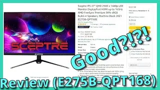 Secptre Gaming monitor review
