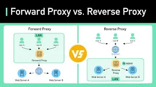 Proxy vs Reverse Proxy (Real-world Examples)