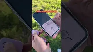 БЕСПРОВОДНОЙ ОШЕЙНИК ДЛЯ СОБАКИ С ЛОКАТОРОМ НА iPhone | РАСПАКОВКА С WB