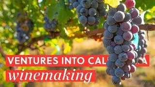 Ventures into Northern California Vineyards & Winemaking | BAO After Work