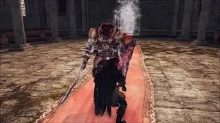 Dark Souls 2: Unused Body of Vengarl Sword and Shield Varient