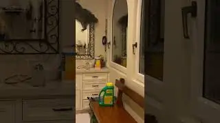 Man Super Excited Racoon Breaks Into Home