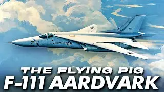 F-111 Aardvark: The Flying Pig