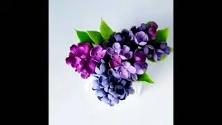 Сахарная сирень 
