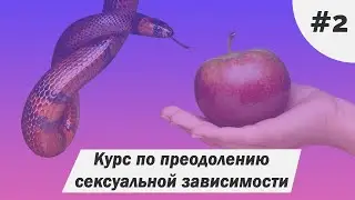 Что дает сексуальное воздержание? Мой опыт и советы. Как воздержание влияет на успех в жизни?