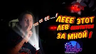 ЛЕЕ ЛЕВ ОХОТИТСЯ ЗА МНОЙ!!! / ЭТА ИГРА КОПИЯ POPPY PLAYTIME!!! /  INDIGO PARK ПРОХОЖДЕНИЕ #1 !!