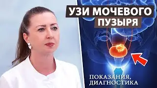 Путь к здоровью: УЗИ мочевого пузыря