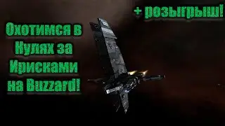 Охотимся за Ирисками в 0.0 на Buzzard! А может быть и в ВХ!