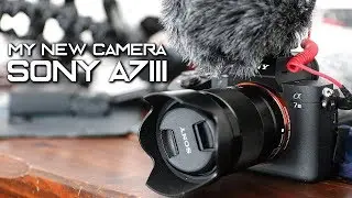 SONY A7III REVIEW | Initial Thoughts + Video Test [SLOG3 x Low Light x Slo-mo]