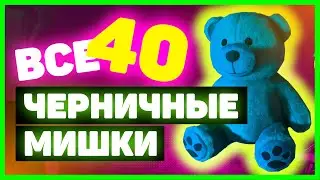 Division 2: All Teddy Bear