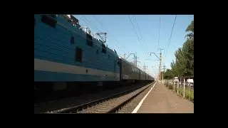 Поезд Томск  -  Анапа сбил 14 коров
