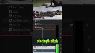 Silencing the Noise: How to Use Effects for Noise Reduction // Adobe Premiere 
