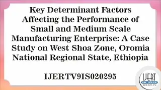 Key Determinant Factors Affecting the Performance of Small and Medium Scale Manufacturing.....