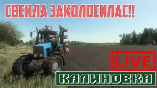 Farming Simulator | ВСХОД СВЕКЛЫ, ОБРАБОТКА КУЛЬТУРУ | 