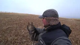 РЫБУ УКРАЛИ, ДОЖДЬ ПОЛИВАЕТ - НО РЫБАЛКА ВПРИГЛЯДКУ КЛАСС! ПОСЛЕДНЯЯ СО ЛЬДА, ВОКРУГ ВЕСНА!