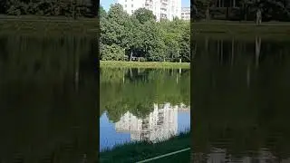 В УТРЕННЕЙ РОСЕ ЦВЕТОК...🌿🌿🌿⚘🌿🌿🌿⚘⚘⚘🌿🌿🌿⚘⚘⚘🌿🌿🌿⚘⚘⚘🌿🌿🌿⚘⚘⚘🌿🌿🌿⚘⚘⚘🌿🌿🌿