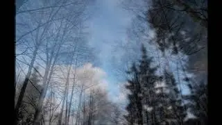 Чапаевский поселок Сквер Стадион