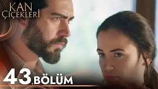 Kan Çiçekleri 43. Bölüm