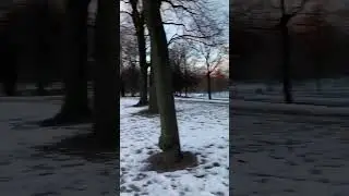 Каток в Таврическом саду. Только коньков не хватает