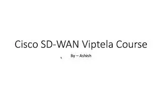 SD WAN Viptela Overview